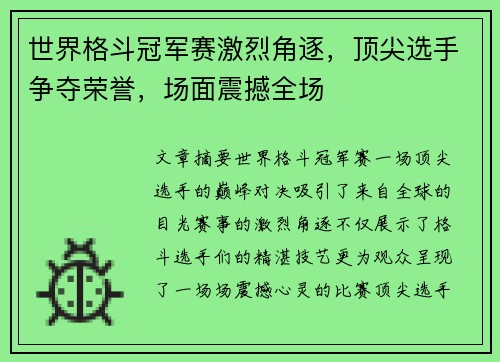 世界格斗冠军赛激烈角逐，顶尖选手争夺荣誉，场面震撼全场