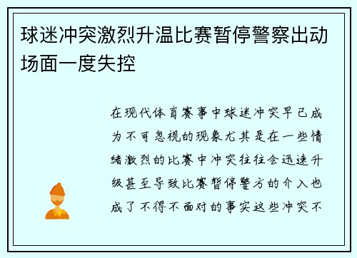 球迷冲突激烈升温比赛暂停警察出动场面一度失控